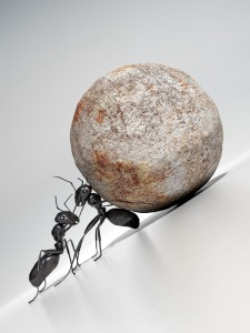 ant-rock