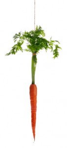 carrot