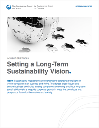 Setting a Long-Term Sustainability Vision